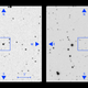 Now you see it, now you don’t: A celestial object appears in an old telescopic plate (left) but is strangely missing in a later plate (right).